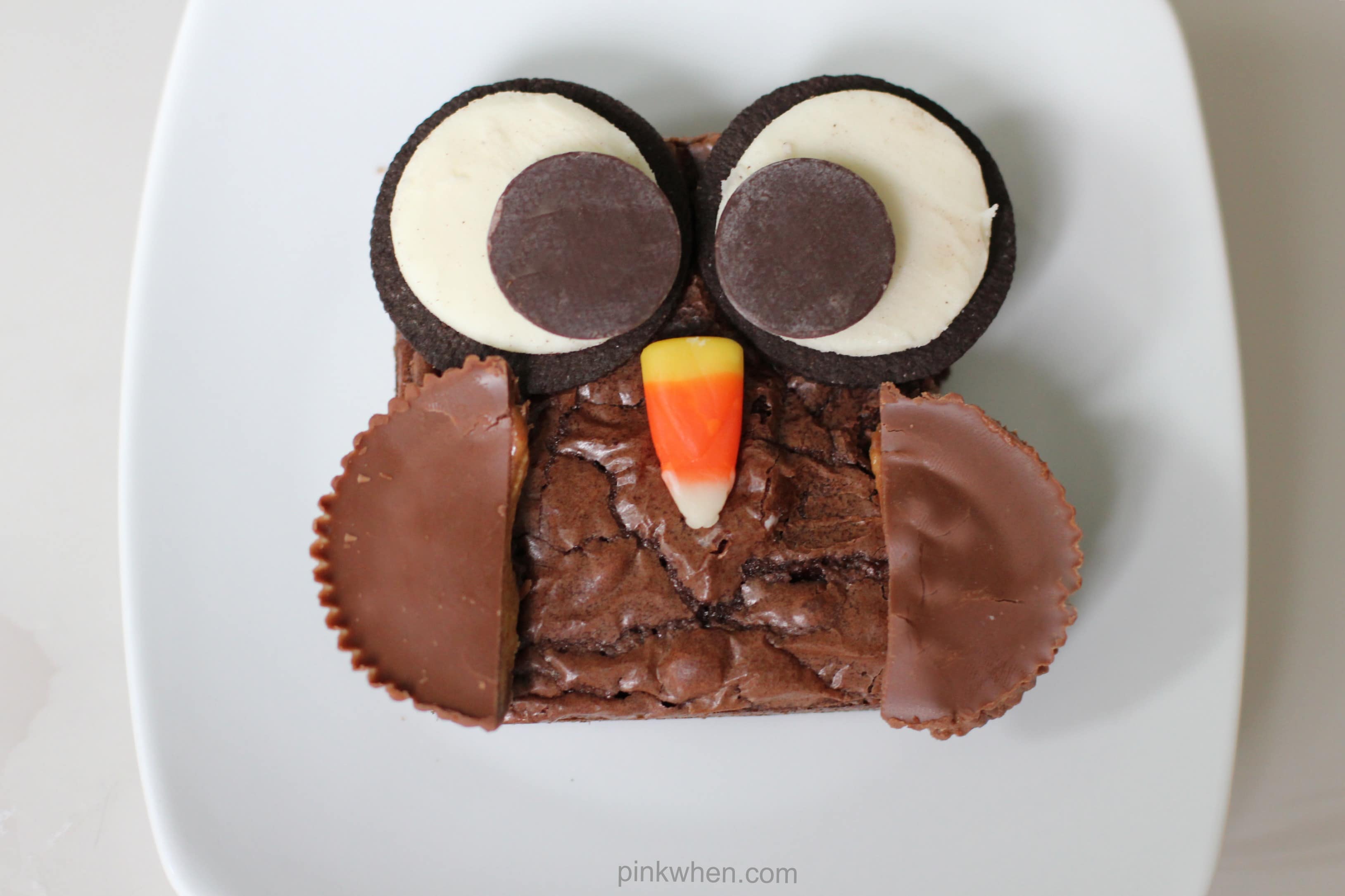 Delicious Brownie Owl treat from PinkWhen.com