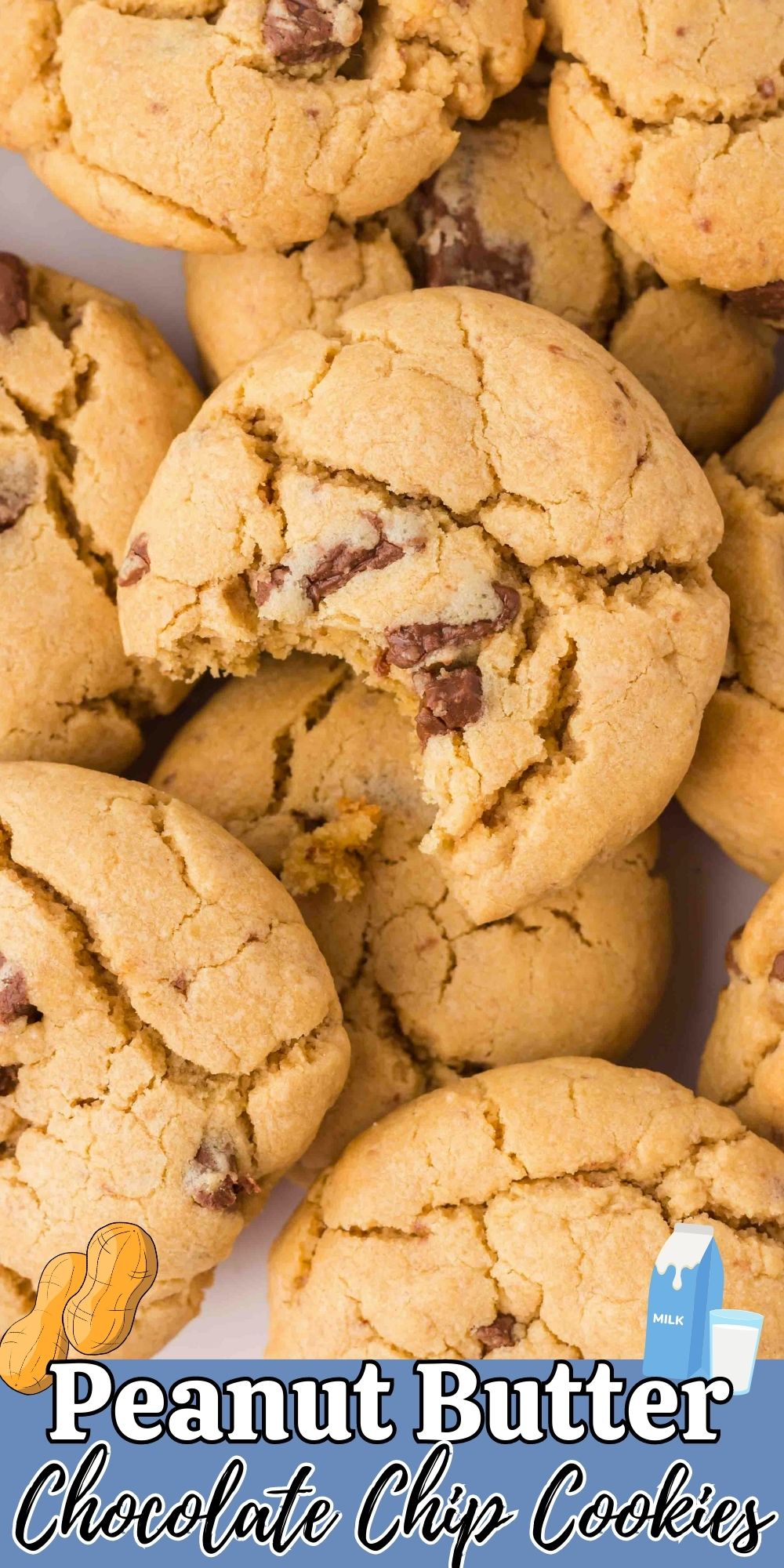 These soft and chewy Peanut Butter Chocolate Chip Cookies combine the best flavors in a soft, warm cookie.