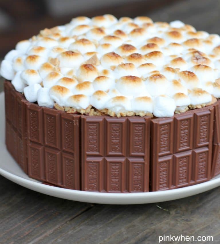 S'mores Cake Recipe with toasted marshmallows on top. 
