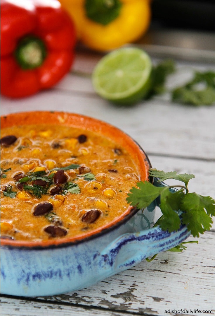 Fiesta Chicken Enchilada Soup from a Dish of Daily Life is just one of many enchilada soup recipes you can find here. 