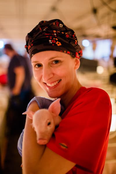 Home Runs Fighting Hunger Baby Pigs Iowa Pig Farming