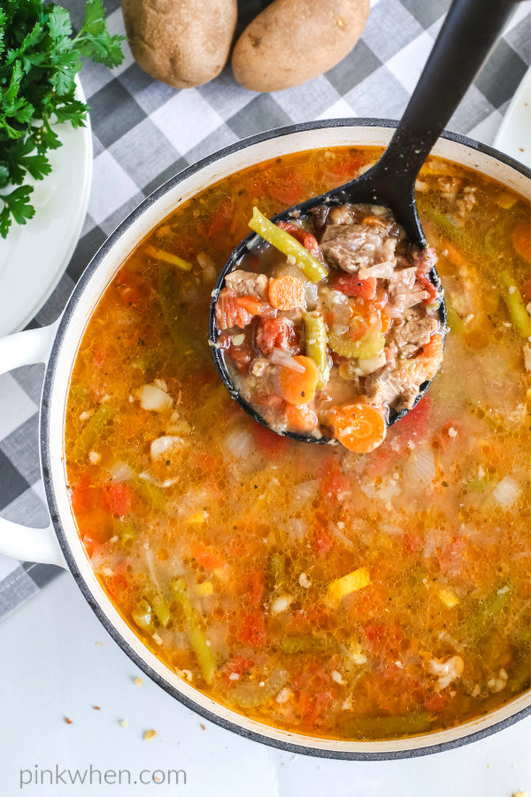 Vegetable Beef Soup in a large serving bowl ready to eat. 