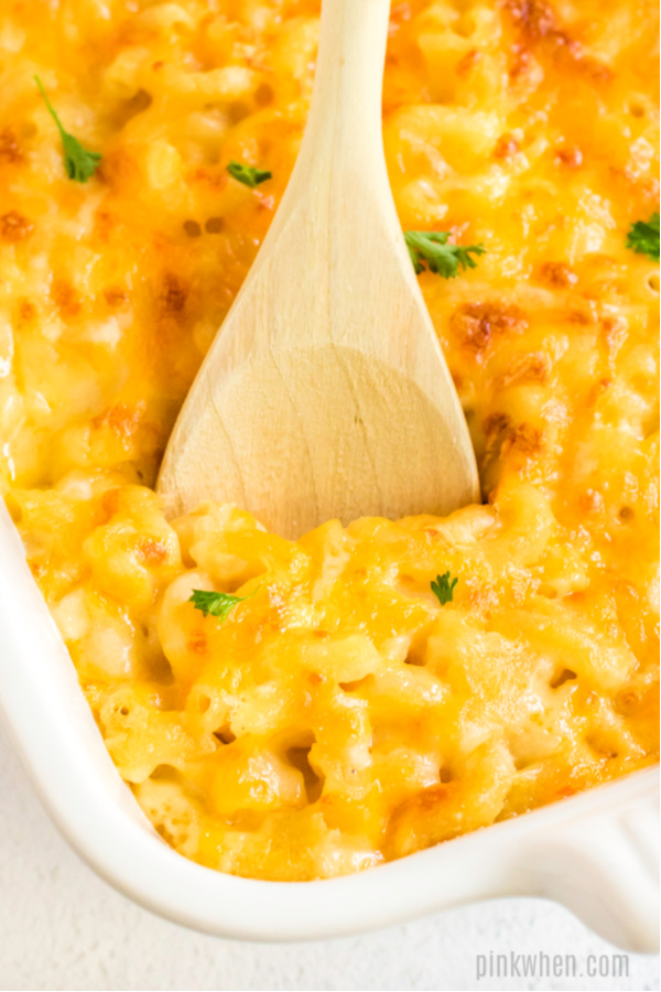 Cheesy baked macaroni being scooped from a dish. 