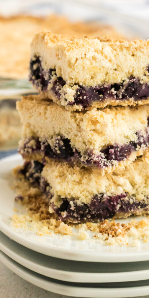 These blueberry crumb bars are a delicious, fun, and crumbling snack that is full of delicious flavor. Made with fresh blueberries, you won't believe how delicious this easy dessert is.