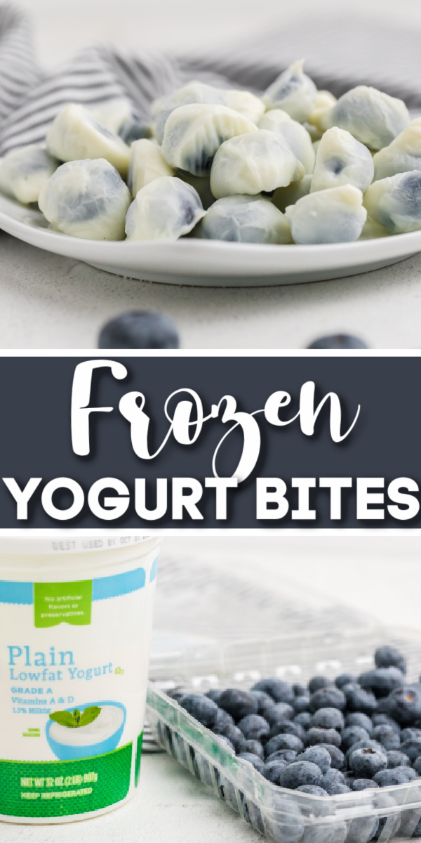 Made with just 2 ingredients, these Frozen Yogurt Bites are a delicious and healthy snack idea that's perfect for any occasion! They're super simple to make and are ready in just minutes. Perfect for after school, after a workout, or just because.