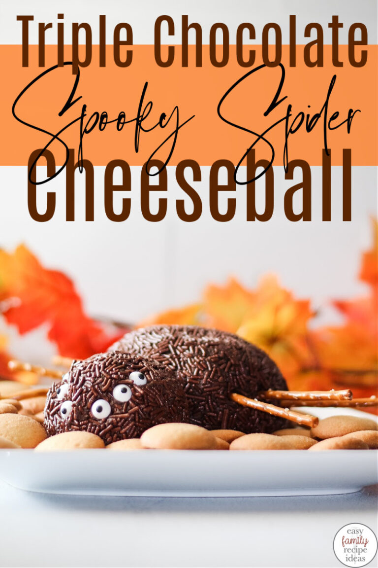 Chocolate Spider Cheese Ball for Halloween