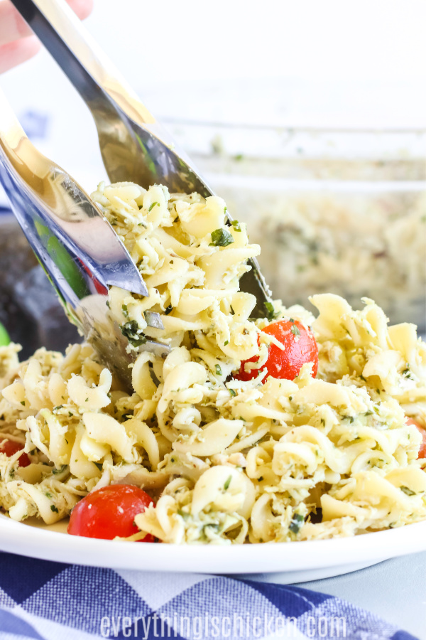 Italian Chicken pasta salad on a plate, ready to eat.