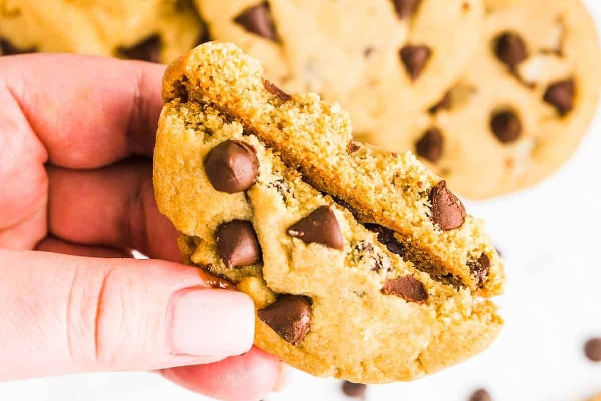 Golden colored cookies with chocolate chips.