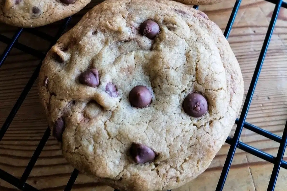 Delicious looking chocolate chip cookies.