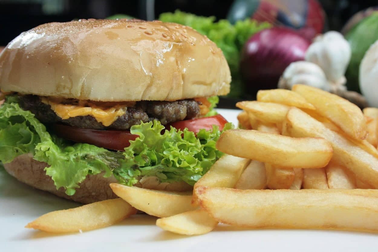 United States’ Cheeseburger and french fries on a plate.