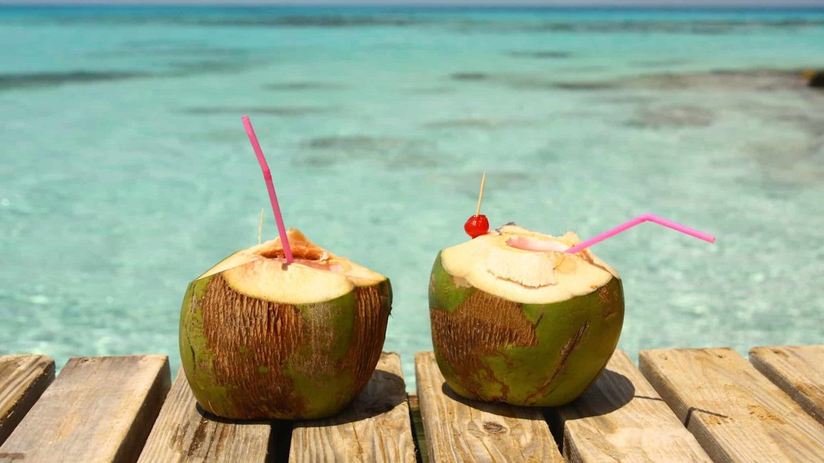 Two cocktail Coco-loco coconuts in front of a turquoise ocean, Caribbean tropical vacations.