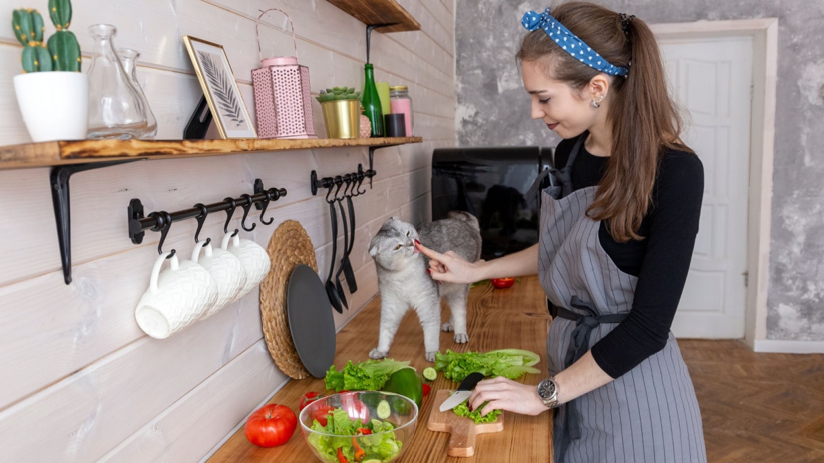 Woman chopping vegetables with cat.