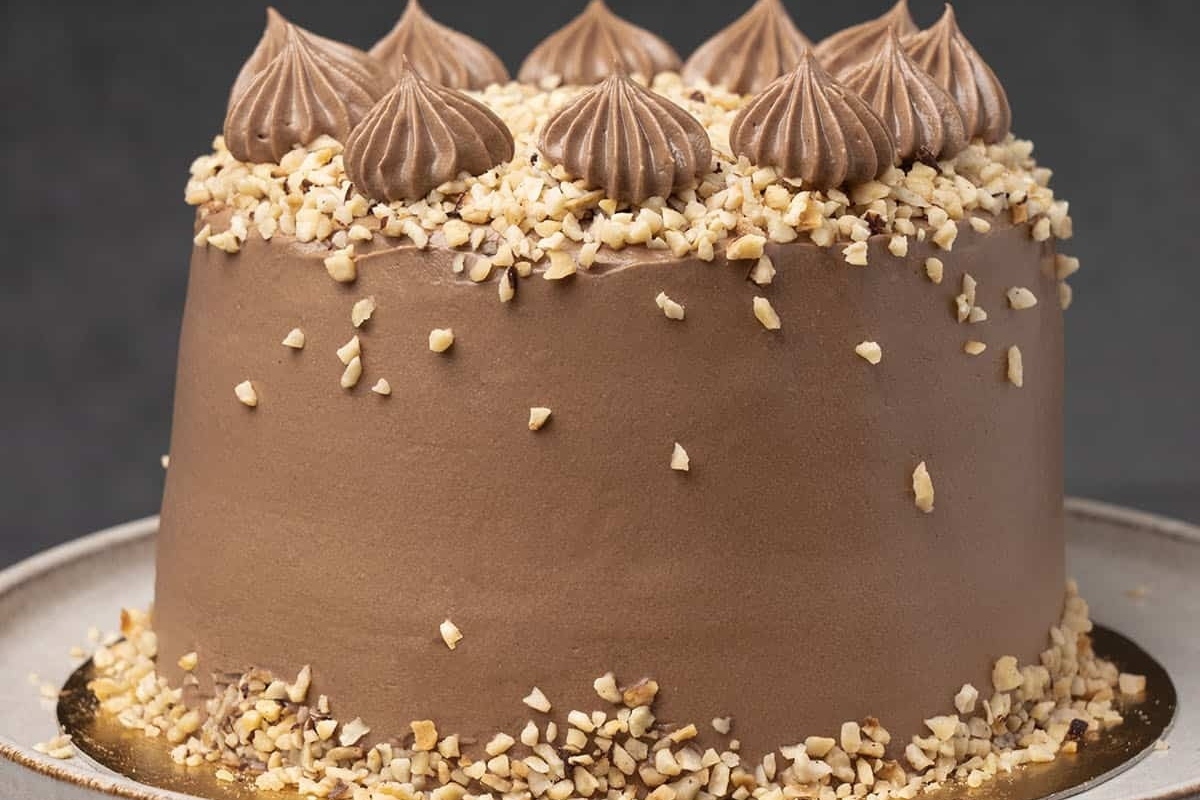 A decadent Nutella cake with a sprinkle of nuts on top.