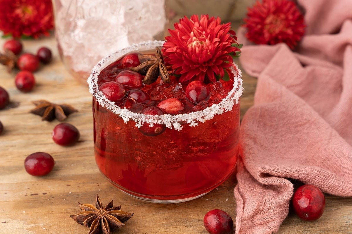 Cranberry margarita garnished with cinnamon and star anise, perfect for Thanksgiving cocktails.
