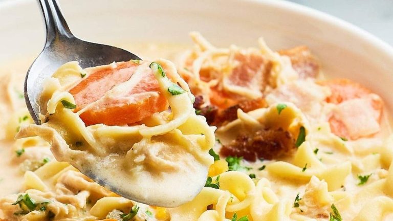 A comforting bowl of shared chicken noodle soup.