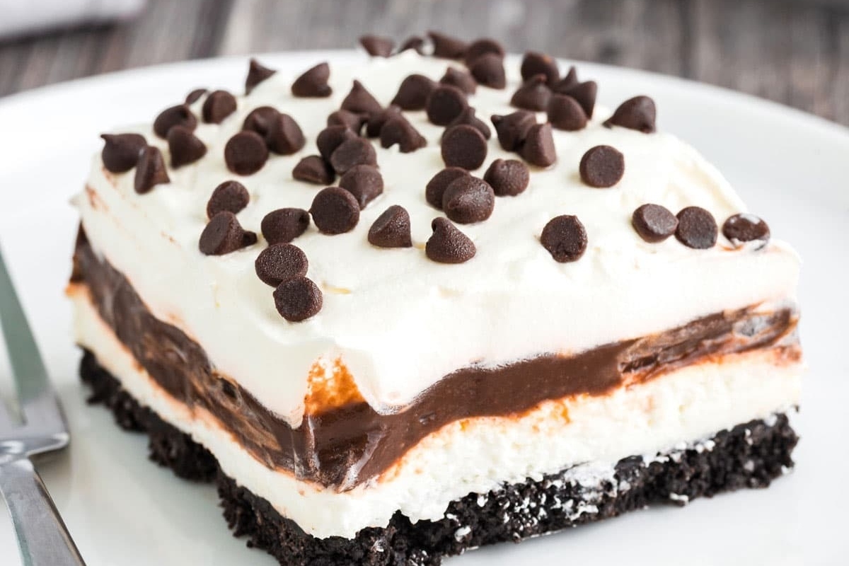 A decadent dessert, a piece of chocolate ice cream cake on a plate.