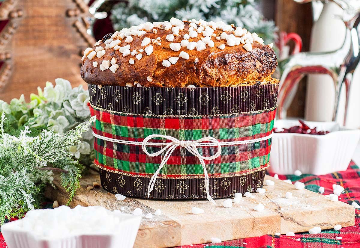 A homemade Panettone. 