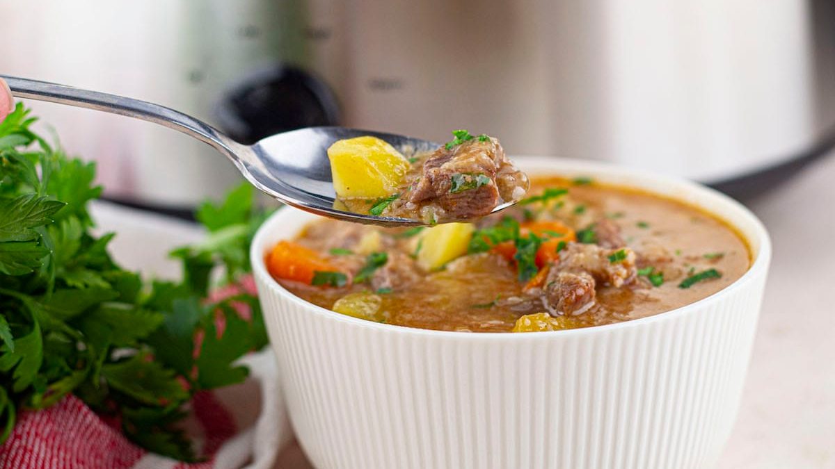 Slow cooked beef stew in a white bowl.