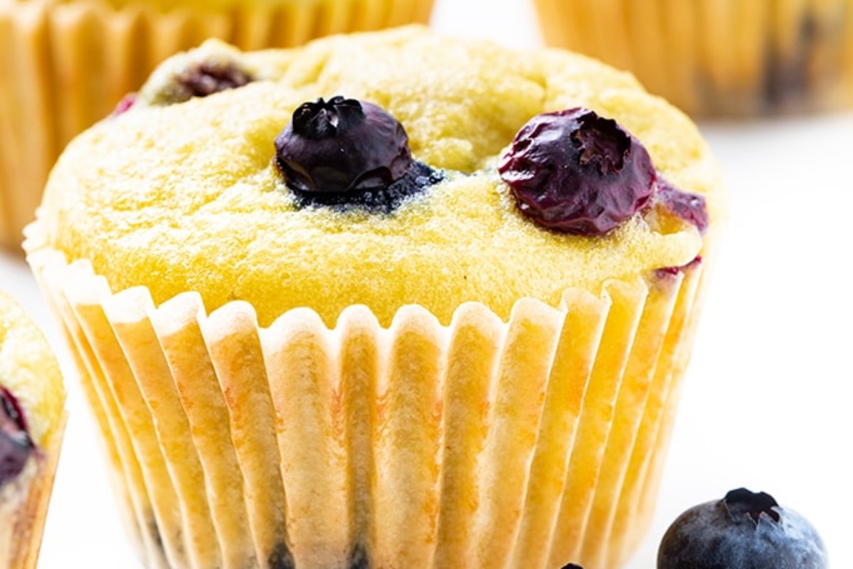 49 Blissfully Tasty Blueberry Recipes 25 Keto Coconut Flour Blueberry Muffins